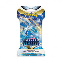 SILVER TEMPEST SLEEVED...